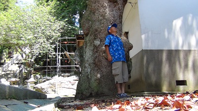 金華山パワースポット『こぶの木』で腰の治療中