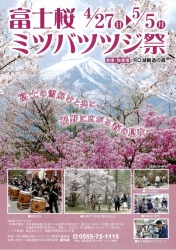 富士桜ミツバツツジ祭