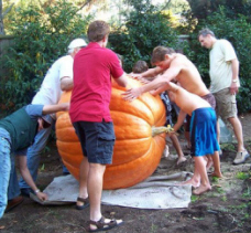 Big-Pumpkin-contest.jpg
