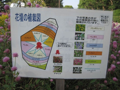明石タコ　花壇の植栽図