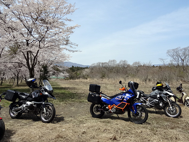05_桜畑