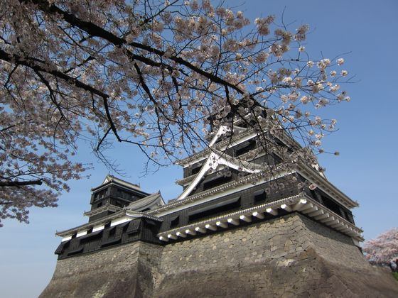 桜お花見がてら熊本城へ小旅行 in 九州熊本熊本城2