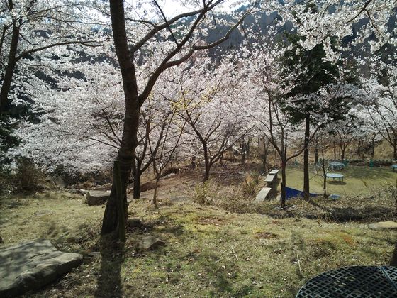 FLCC（福岡ランクルクラブ）山桜（花見）壮行会 in 大分遊パーク2