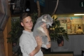 オーストラリア動物園にて　コアラと記念撮影
