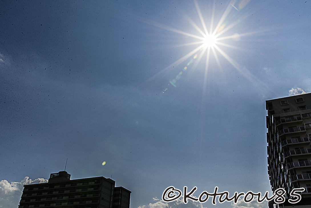 太陽　20140804