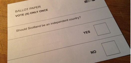 スコットランド　投票用紙