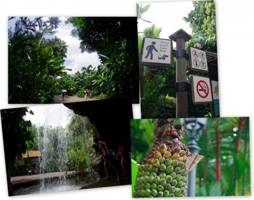 緑の楽園『ボタニック・ガーデン』を満喫しよう！シンガポール7日目前編ニャ♪15