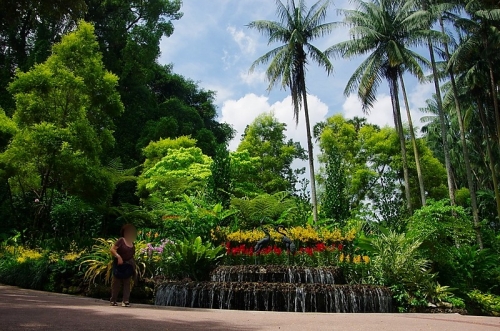 緑の楽園『ボタニック・ガーデン』を満喫しよう！シンガポール7日目前編ニャ♪17