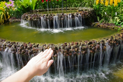 緑の楽園『ボタニック・ガーデン』を満喫しよう！シンガポール7日目前編ニャ♪18