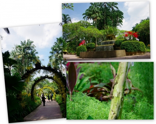 緑の楽園『ボタニック・ガーデン』を満喫しよう！シンガポール7日目前編ニャ♪22