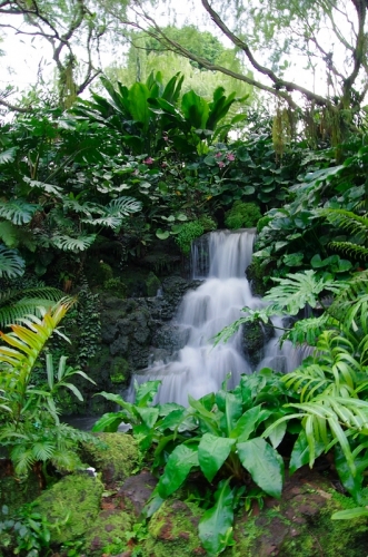 緑の楽園『ボタニック・ガーデン』を満喫しよう！シンガポール7日目前編ニャ♪24
