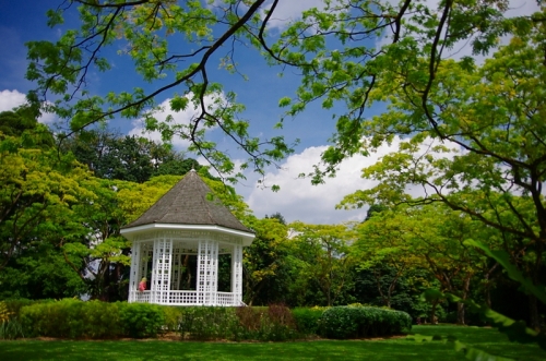 緑の楽園『ボタニック・ガーデン』を満喫しよう！シンガポール7日目前編ニャ♪26