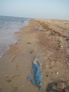 打ち上げられるということは海にゴミがたくさん漂っているということです。 だから海辺のゴミはエジプトのゴミとは限りません
