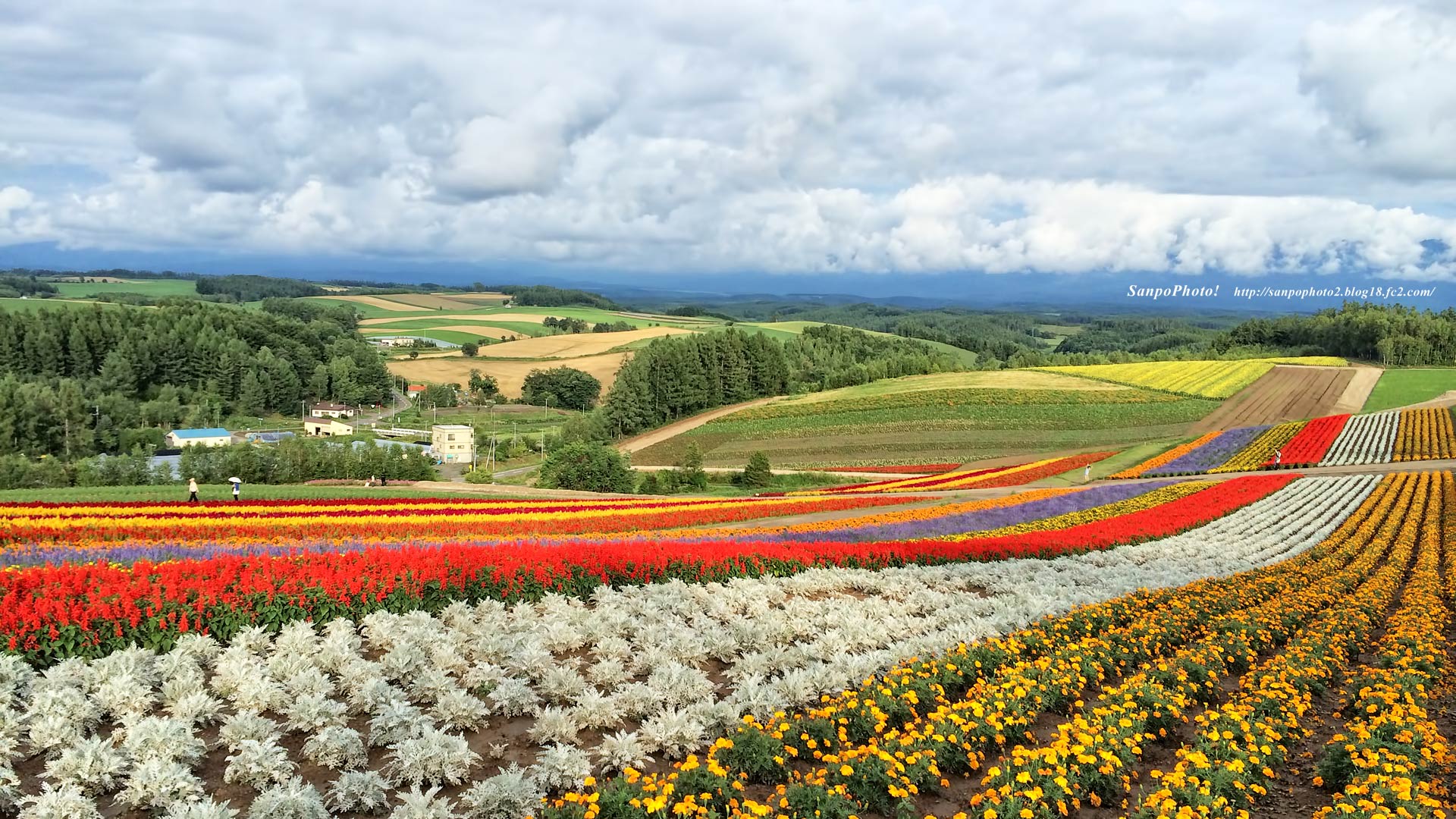 さんぽふぉと Sanpophoto 無料壁紙 北海道の美しい風景