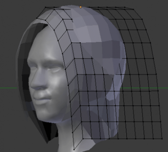 hair_topology.png